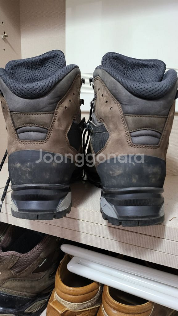 로바 까미노 에보 GTX 290 uk11--1