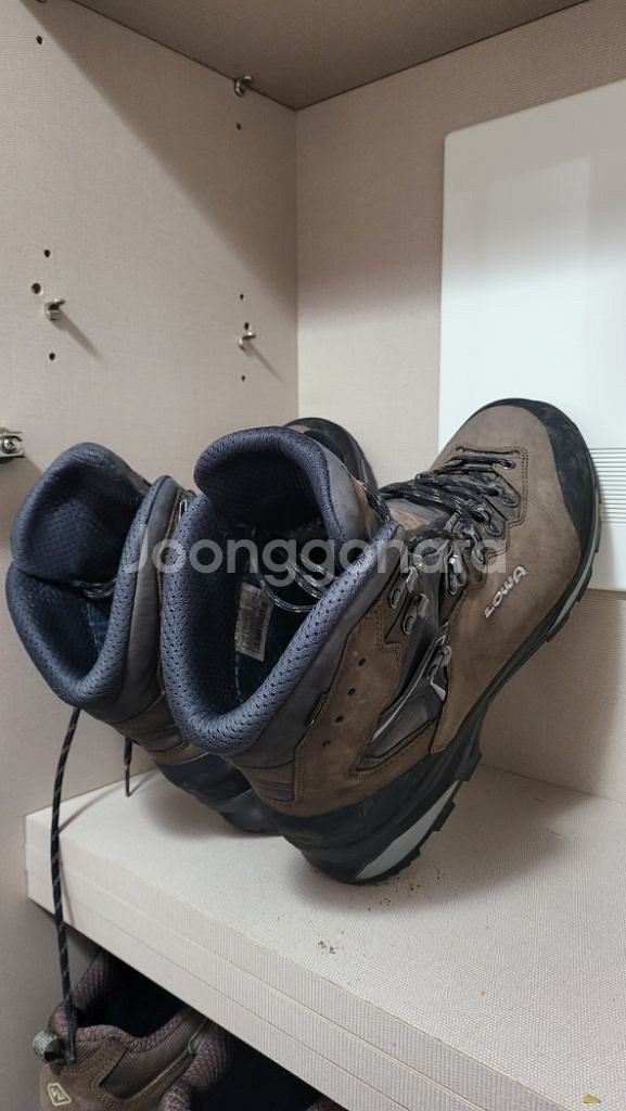 로바 까미노 에보 GTX 290 uk11--5