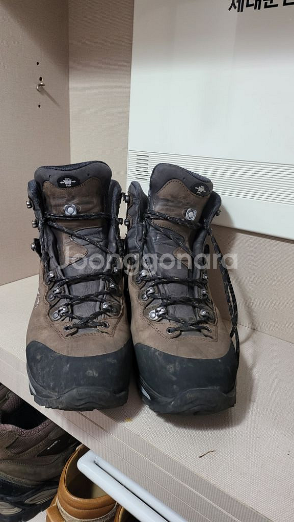 로바 까미노 에보 GTX 290 uk11--4