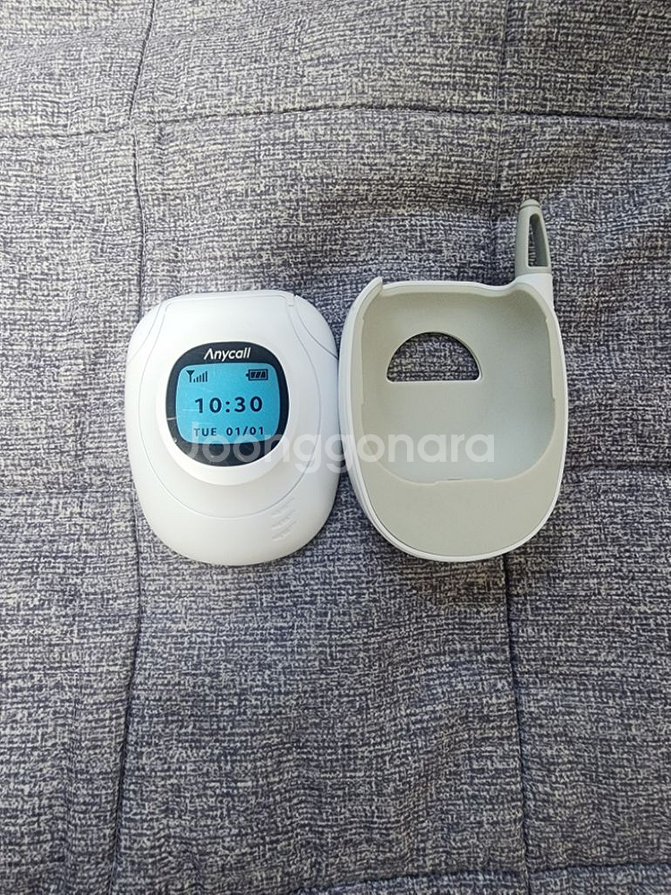 버즈프로 애니콜 케이스 판매합니다--0