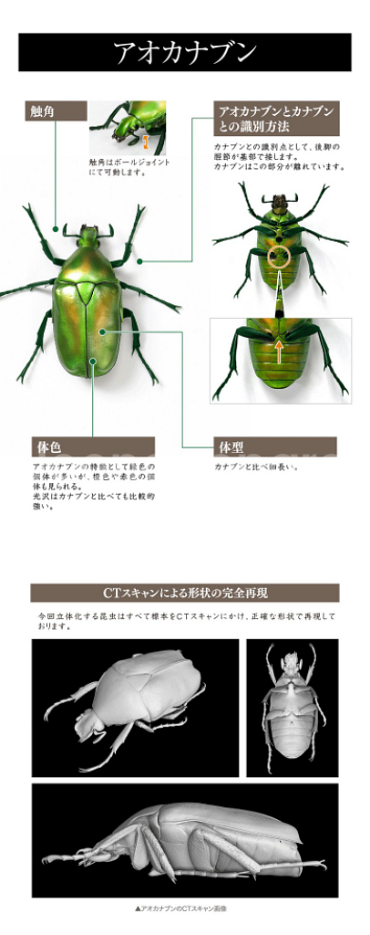 반다이 생물대도감 풍이--1