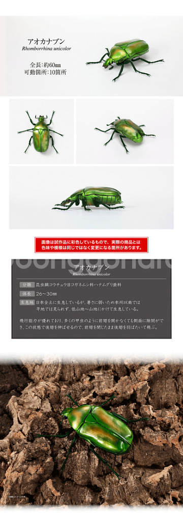 반다이 생물대도감 풍이--2