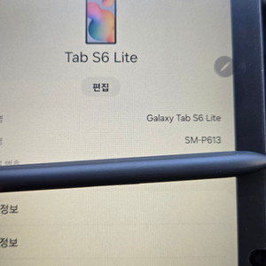 갤럭시탭 S6 Lite 2022 SM-P613