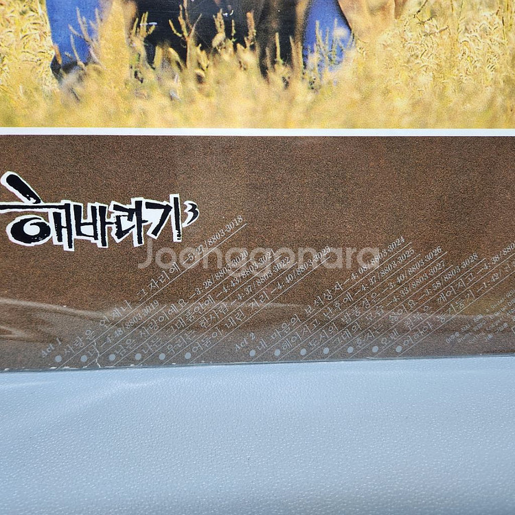해바라기--7