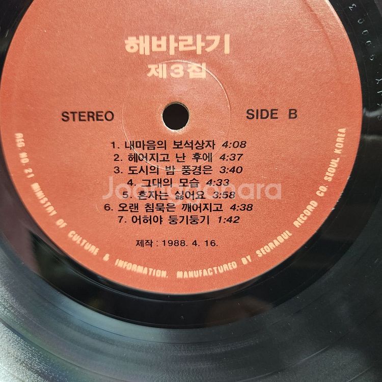 해바라기--6