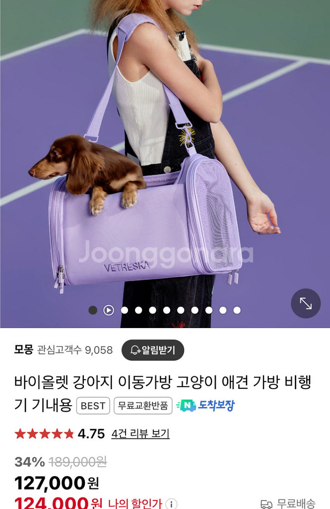 강아지 이동장 애견 애묘 이동가방 기내용가방 베트레스카--9