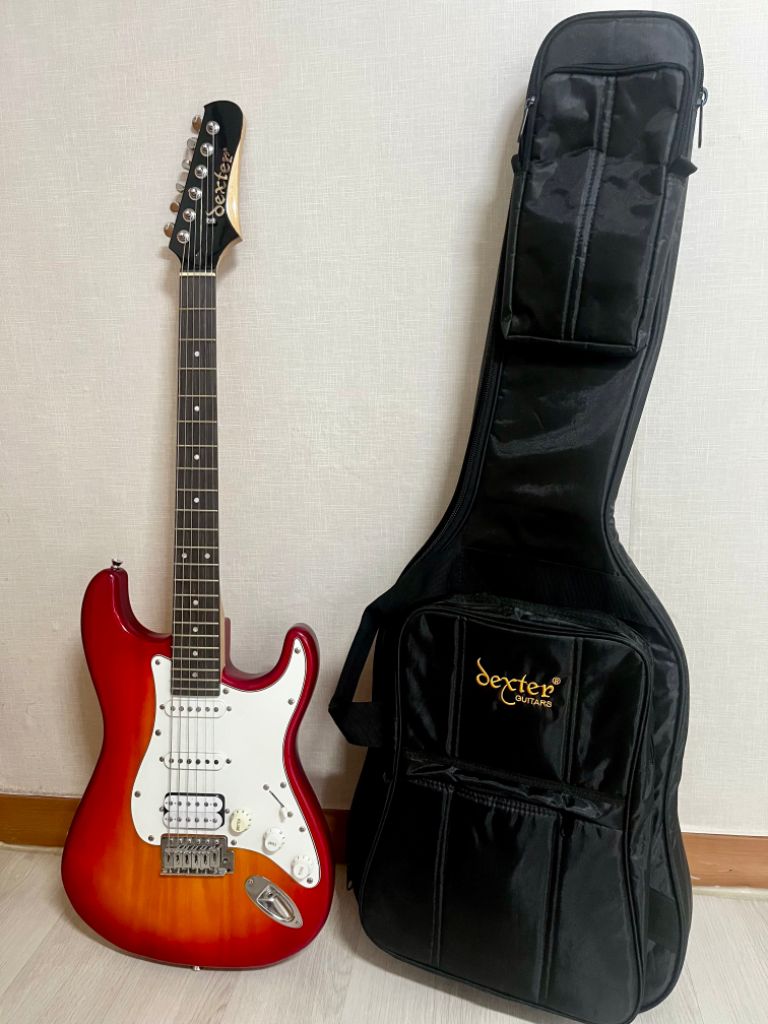 덱스터 일렉기타