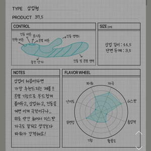 여자 어른용품(아스토리스 37.5)