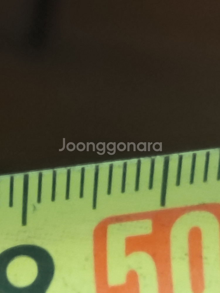벼락 맞은 대추나무--3