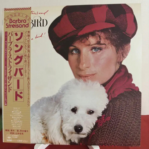 (민트급)Barbra Streisand 20집(LP)