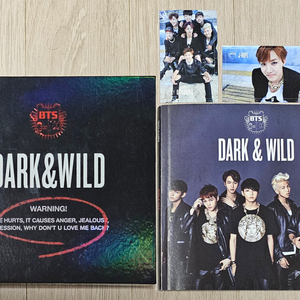 방탄소년단 Dark & Wild 앨범