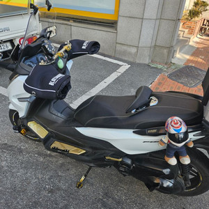 포르자 300 20년식