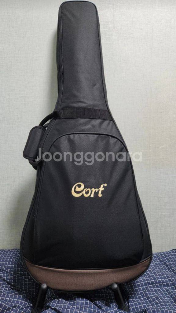 입문용 cort 통기타 판매합니다.--0