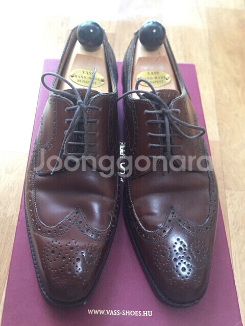 VASS 바쉬 시가쉘코도반 윙팁 구두--1