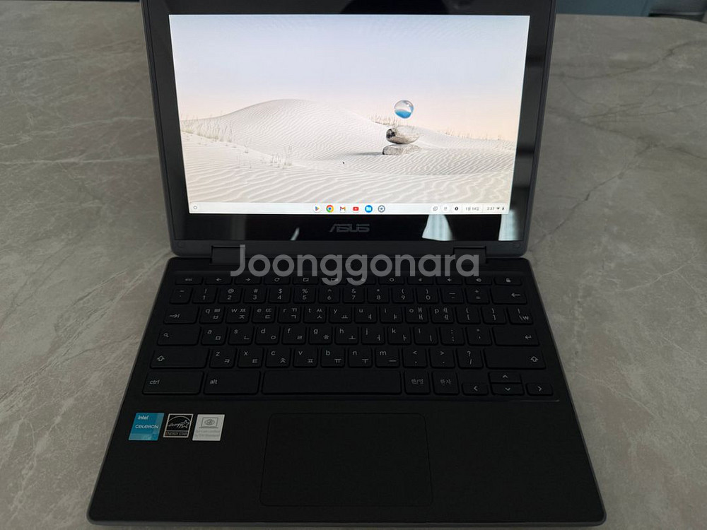 ASUS 크롬북 CR1100FK--1
