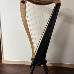 더스티하프 라벤나26 harp ravenna26