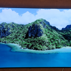 LG OLED 55인치 TV