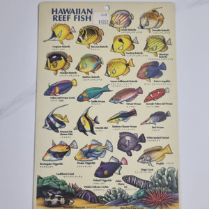 Hawaiian Reef Fish 하와이 물고기 가이드