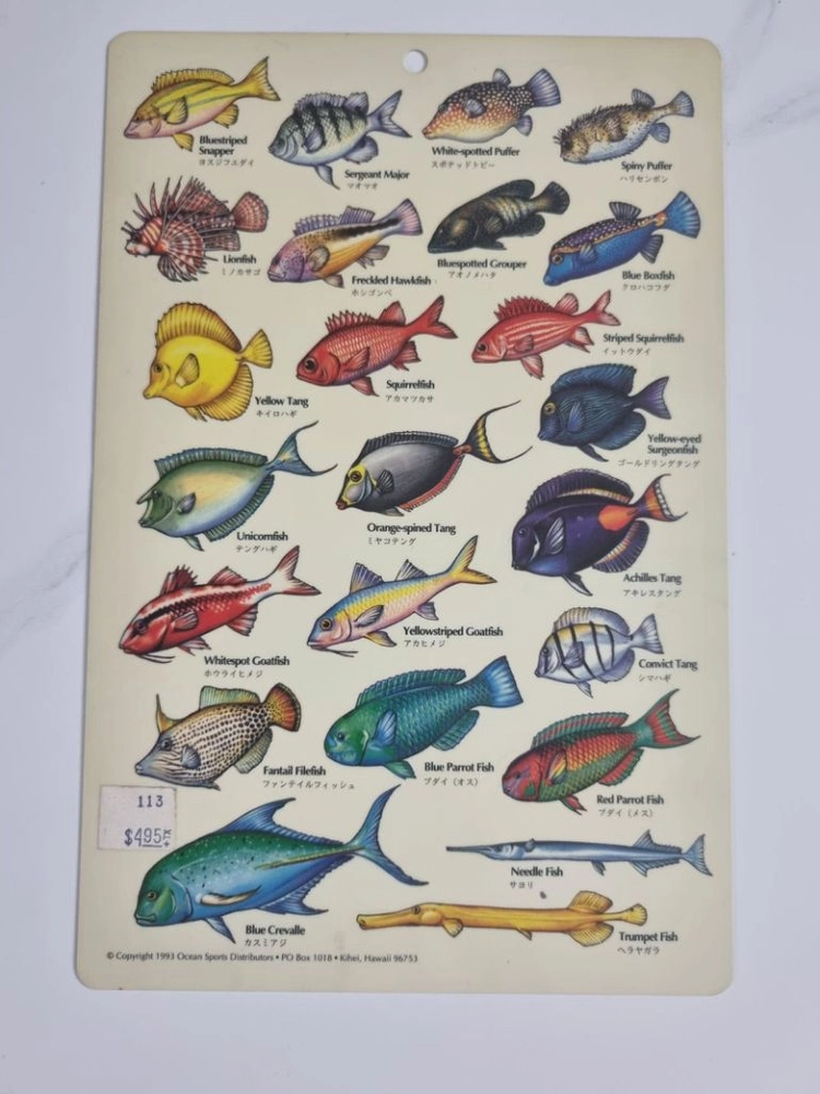 Hawaiian Reef Fish 하와이 물고기 가이드 이미지