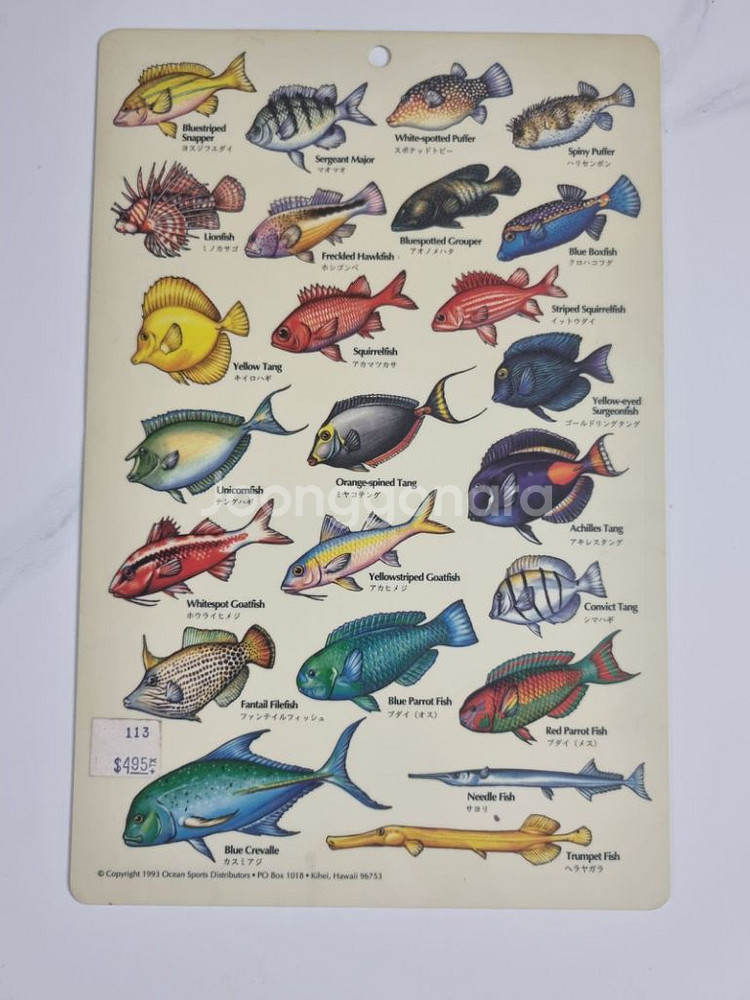 Hawaiian Reef Fish 하와이 물고기 가이드--1