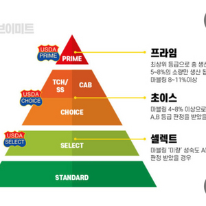 살치살 프라임등급