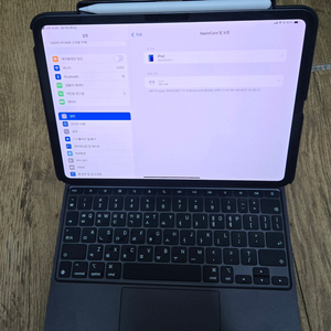아이패드 프로 11 M4 256wifi/셀룰 통으로팜