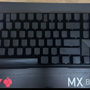 체리키보드 MX BOARD 3.0S (갈축)