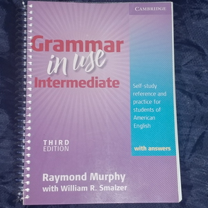 grammar in use intermediate 3e