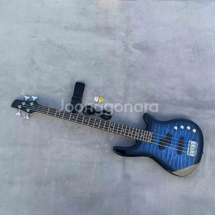 베이스 기타 Bassguitar 블 007--1