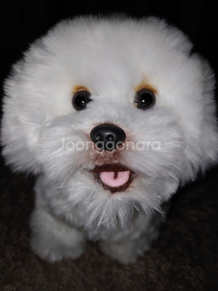 리얼 비숑 강아지 댕댕이 인형--1