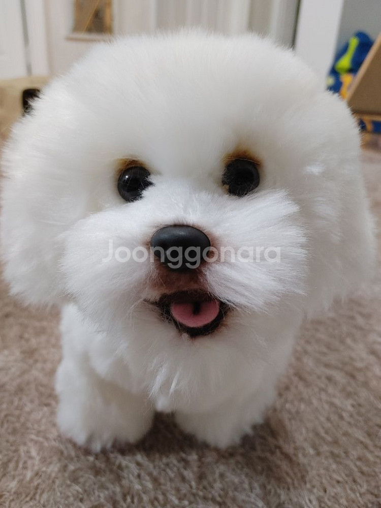 리얼 비숑 강아지 댕댕이 인형--2