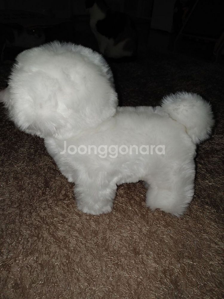 리얼 비숑 강아지 댕댕이 인형--3
