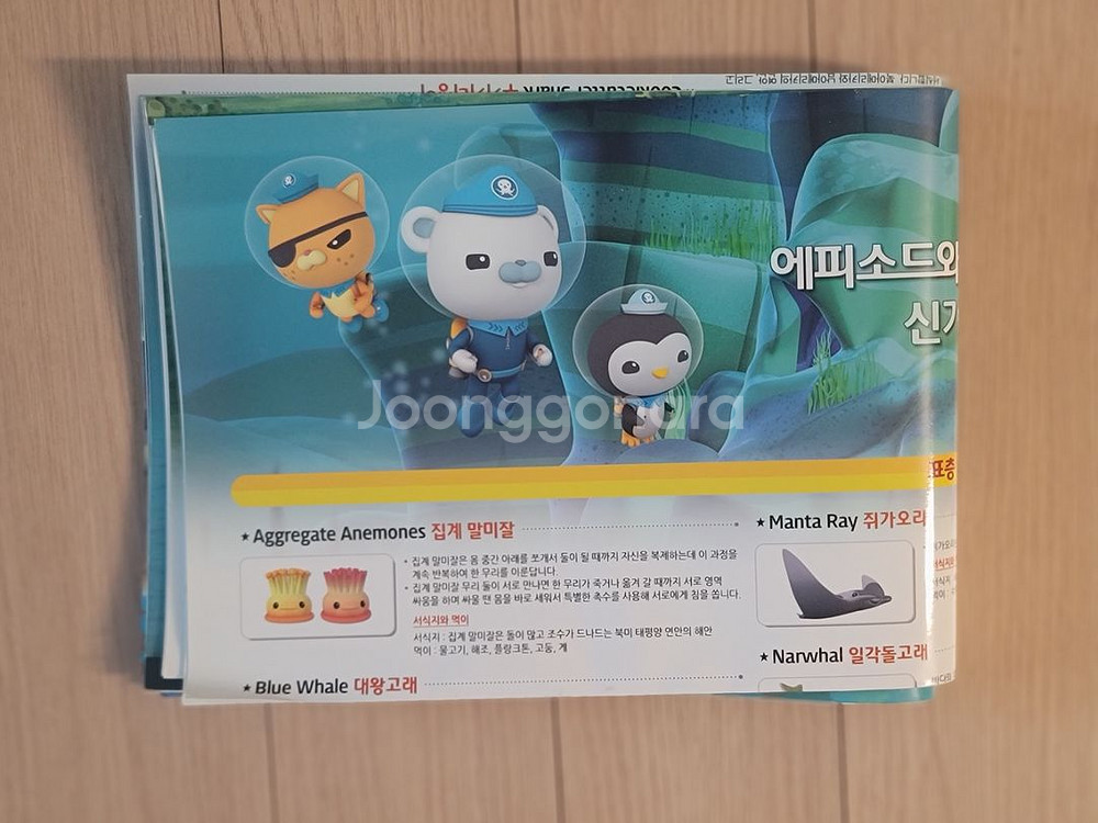 옥터넛DVD--2