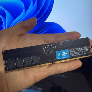 크루셜 DDR5-5600 CL46 16GBx2