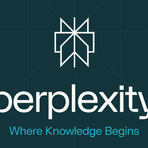 퍼플렉시티 Perplexity AI Pro 12개월