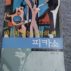 마르지 않는 창작의 샘 피카소 예술 문화 인물 도서 책