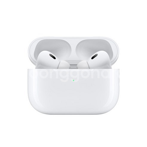 Apple 2023 에어팟 프로 2세대 USB-C 블루--2