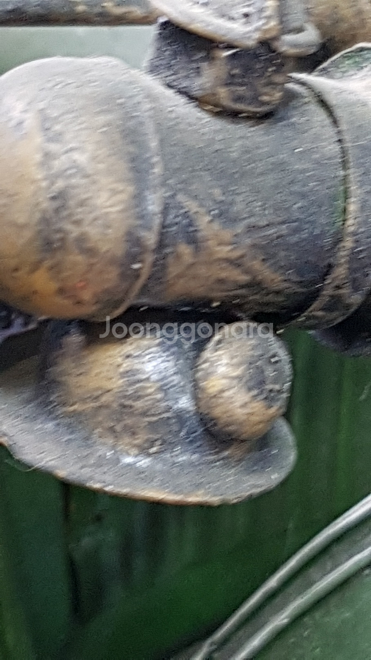 빈티지 인테리어 장식용 수집용 수제 올드카 클래식 자동--3