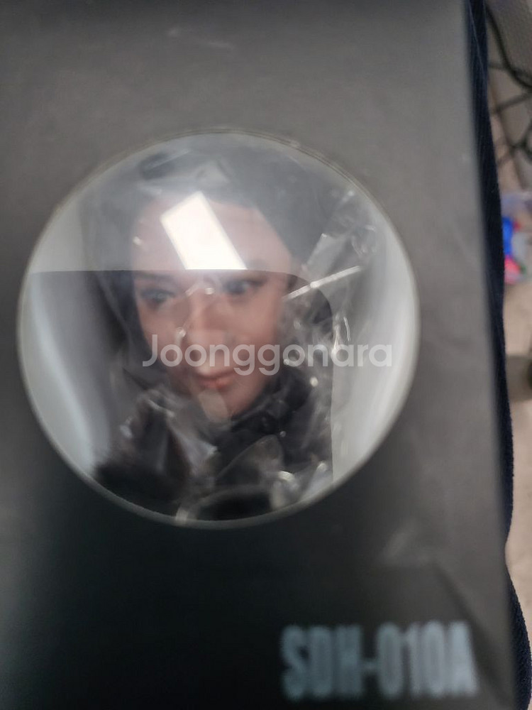 1/6피규어 헤드 슈퍼덕 피첸바디용 헤드 일괄팝니다--1