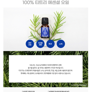 세이프 티트리 에센셜 오일 10ml