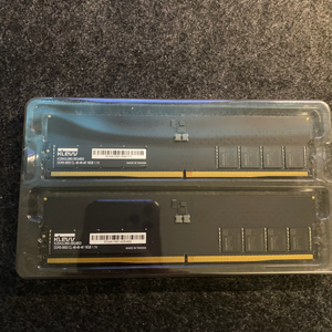 klevv ddr5-5600 cl46 16gb 2개