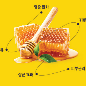 호주 마누카캔디세트 자연선물 위장질환 염증완화 기관지