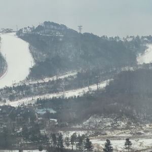 삼성전자 멤버쉽포인트 삽니다