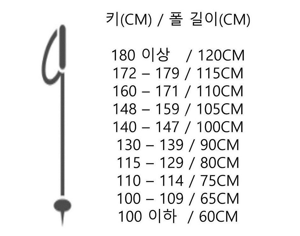 살로몬 KALOO JR POLES 주니어 스키 폴 블루--2