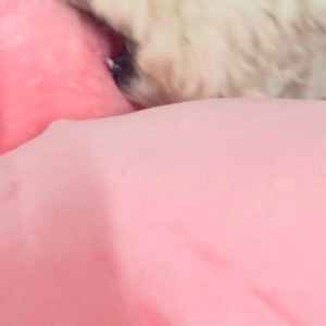 이솔빈님 패딩 결제창입니다