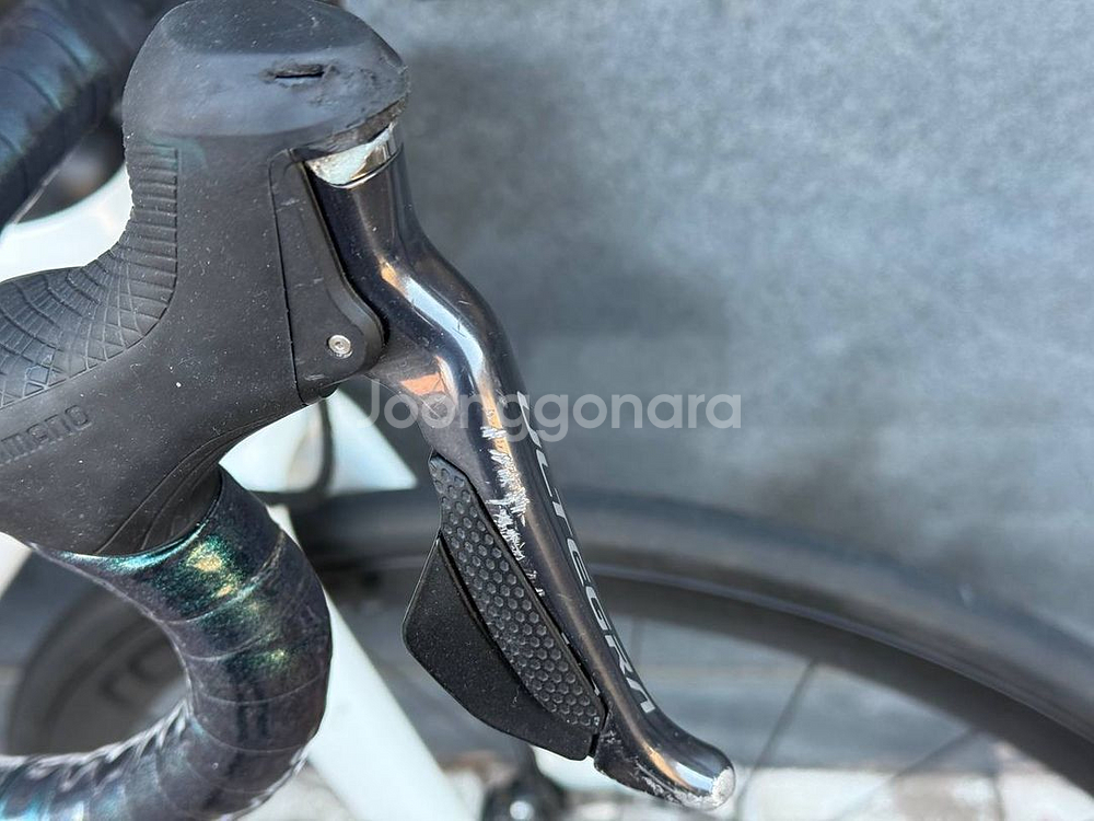 SPECIALIZED 터보 크리오 익스퍼트--1