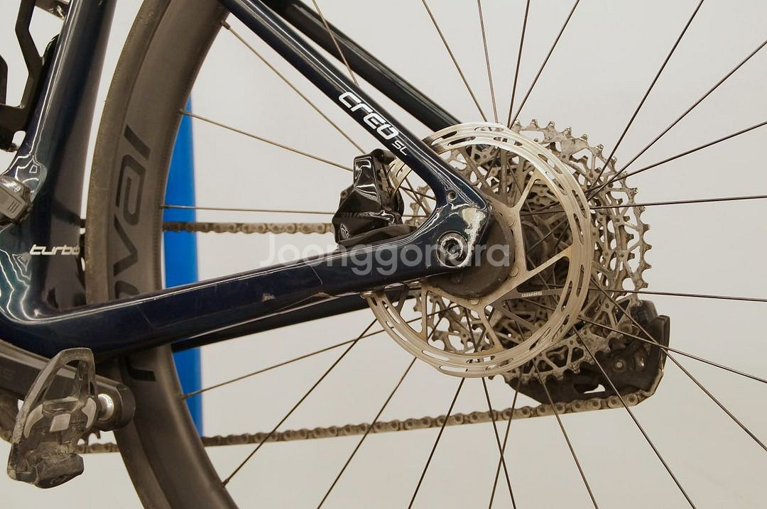 SPECIALIZED 터보 크리오 익스퍼트--1