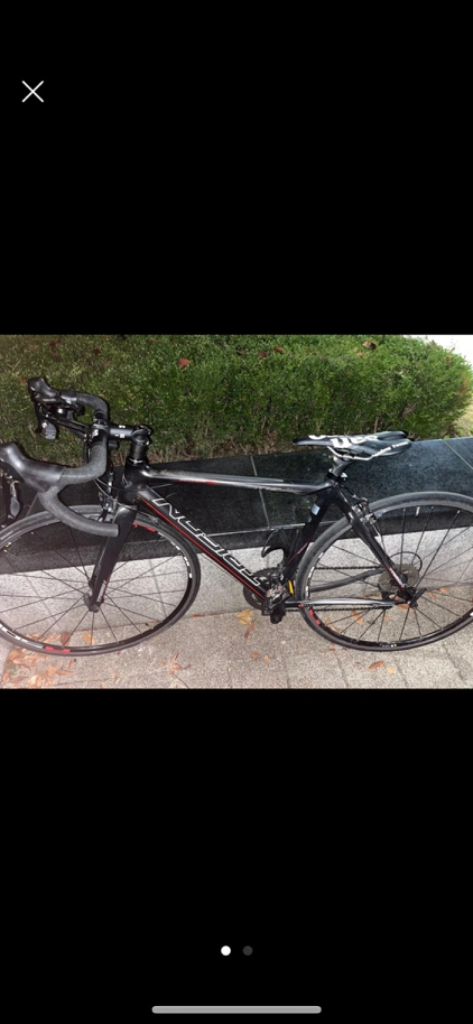 트리곤 다크니스 sl팝니다 이미지