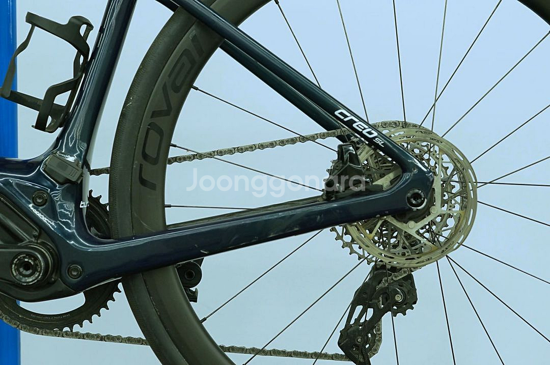 SPECIALIZED 터보 크리오 익스퍼트--1