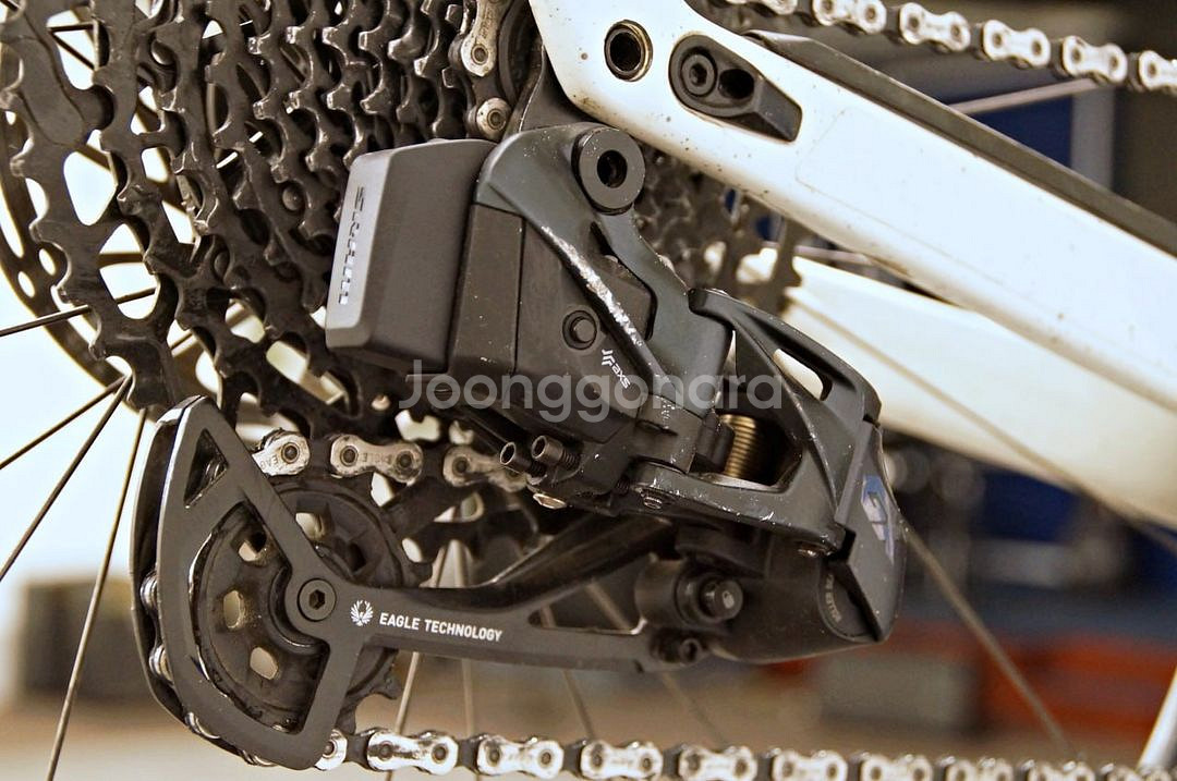 SPECIALIZED 터보 크리오 2 익스퍼트--2